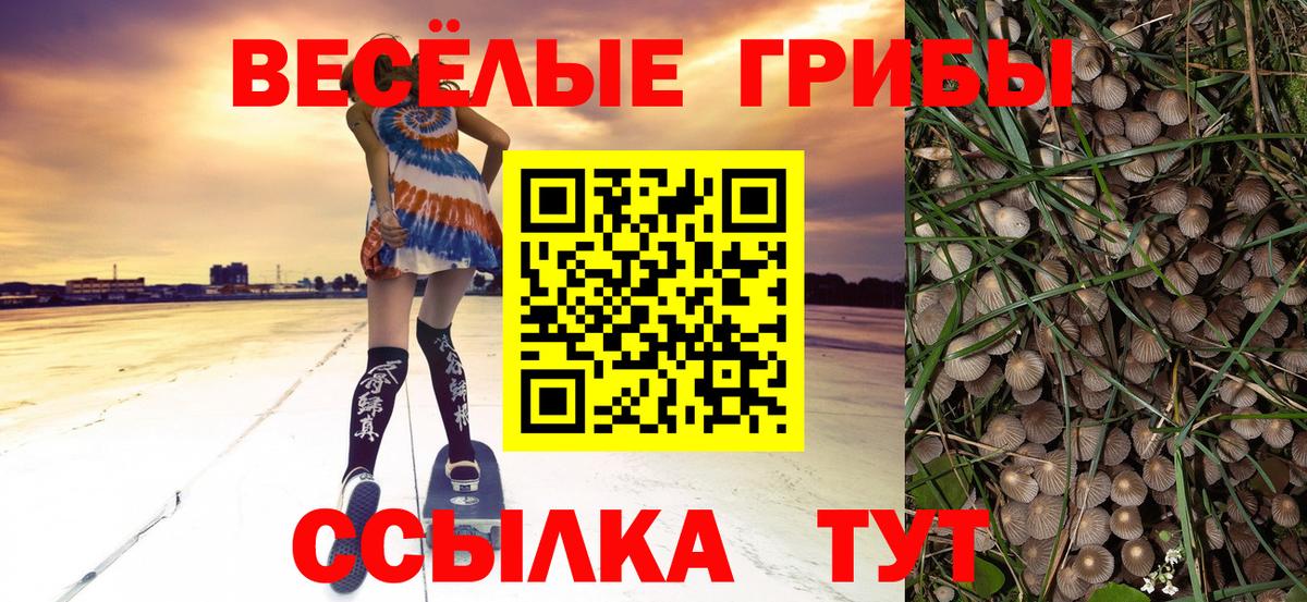 Галлюциногенные грибы прущие грибы Черногорск